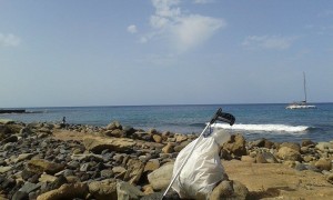 Beach Clean Up Palm Mar